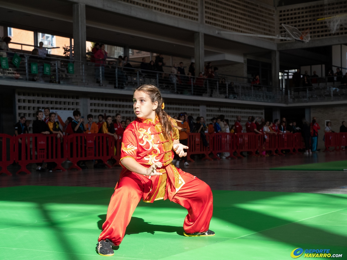 Gran acogida del XIII Campeonato de España de  Wu-Shu Tradicional en Pamplona 05-11-22. FOTOS.